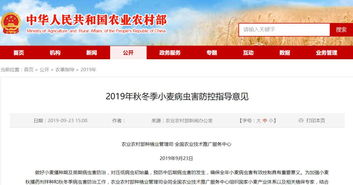 全國農(nóng)業(yè)技術(shù)推廣服務(wù)中心發(fā)布2019年秋冬季小麥主產(chǎn)區(qū)重點(diǎn)病蟲害防控指南 提前預(yù)防，科技助力軟件開發(fā)